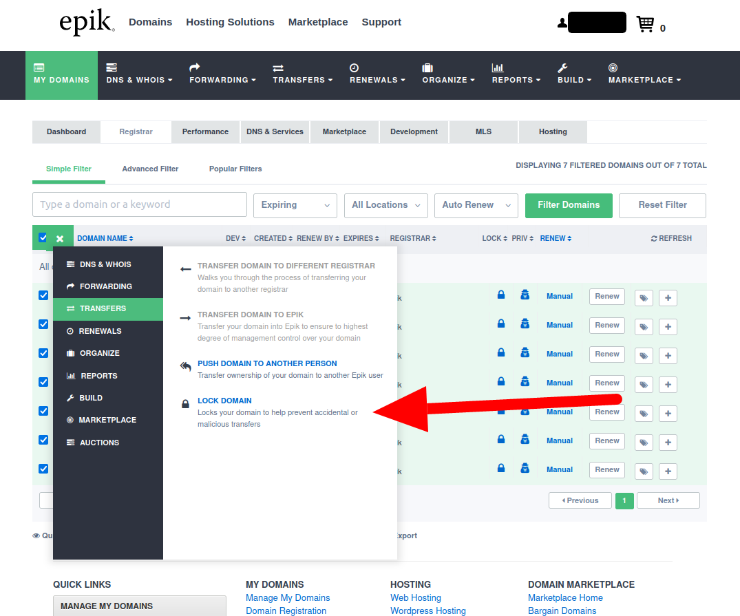 Epik unlock multiple domain names menu item